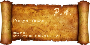 Pungor Andor névjegykártya