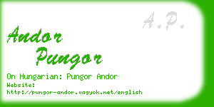 andor pungor business card